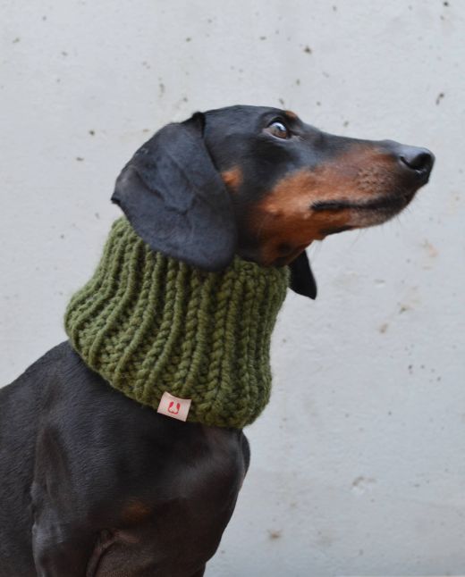 Vibrant red knitted acrylic neckwarmer for dachshunds.