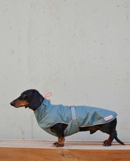 Cocoon dachshund coat | grey green