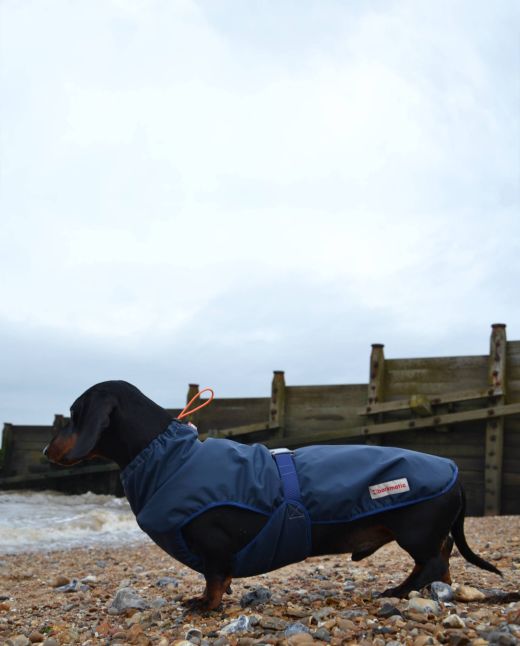 Cocoon dachshund coat | navy