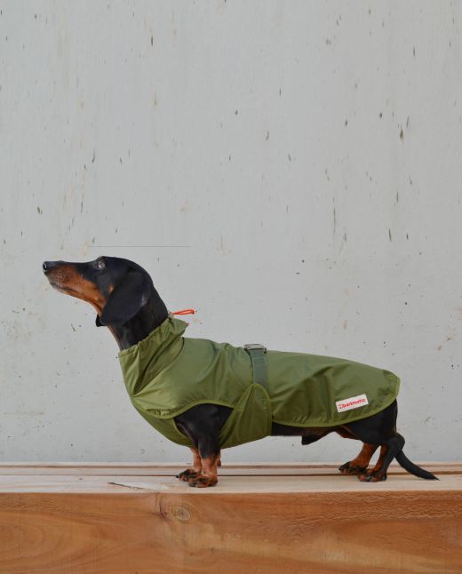 Rainbuster Darks dachshund coat | khaki