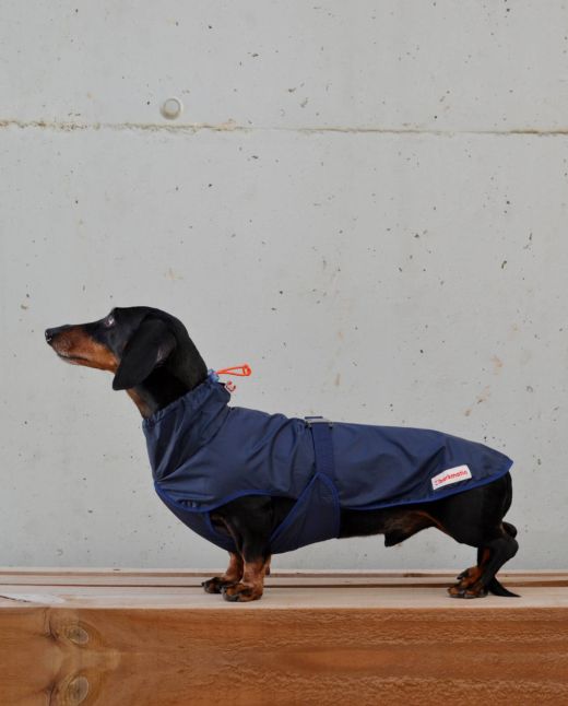 Rainbuster Darks dachshund coat | navy