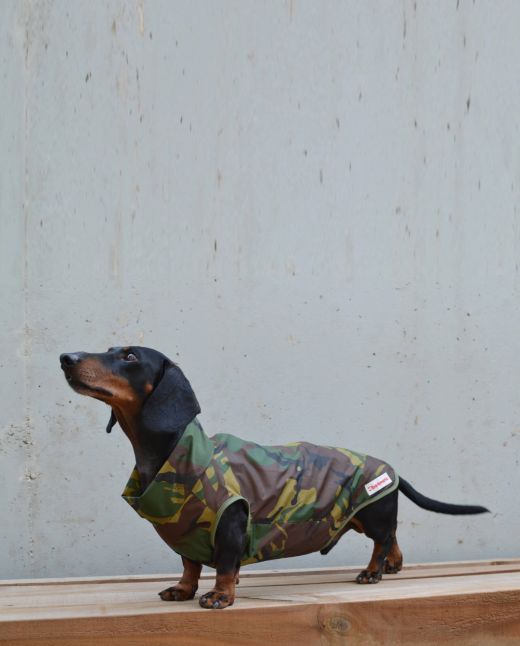 Rainvest dachshund coat | Camo