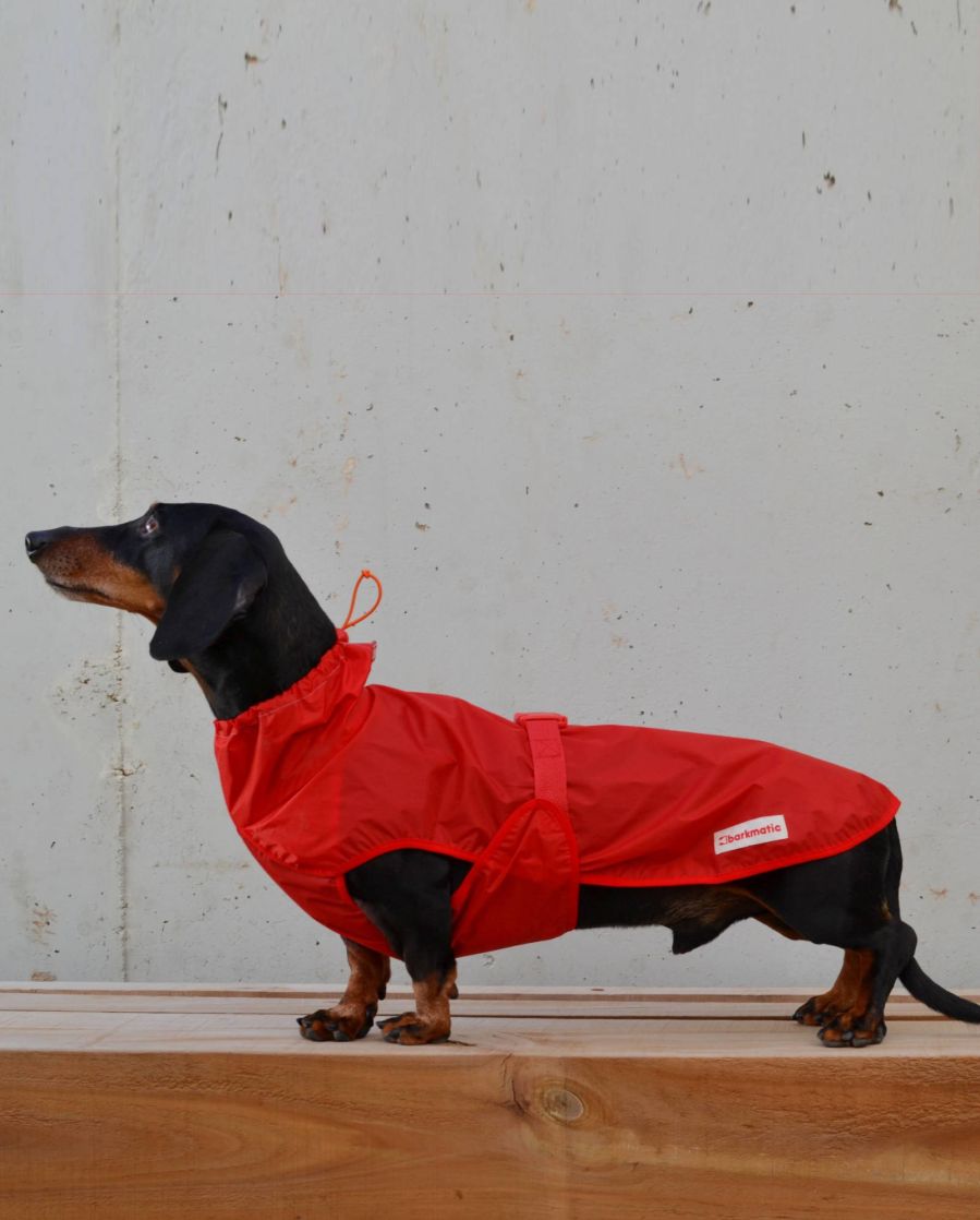 Rainbuster dachshund coat | red