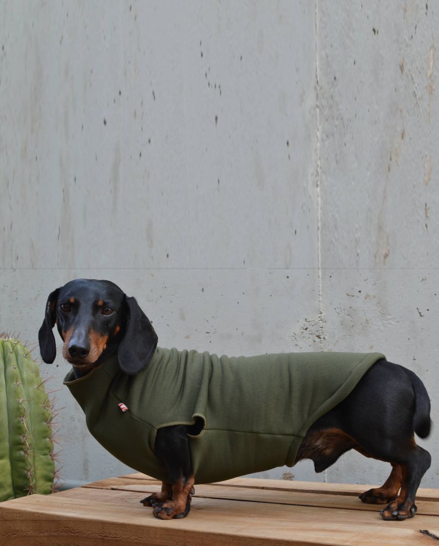 Stretchy dachshund fleece | khaki