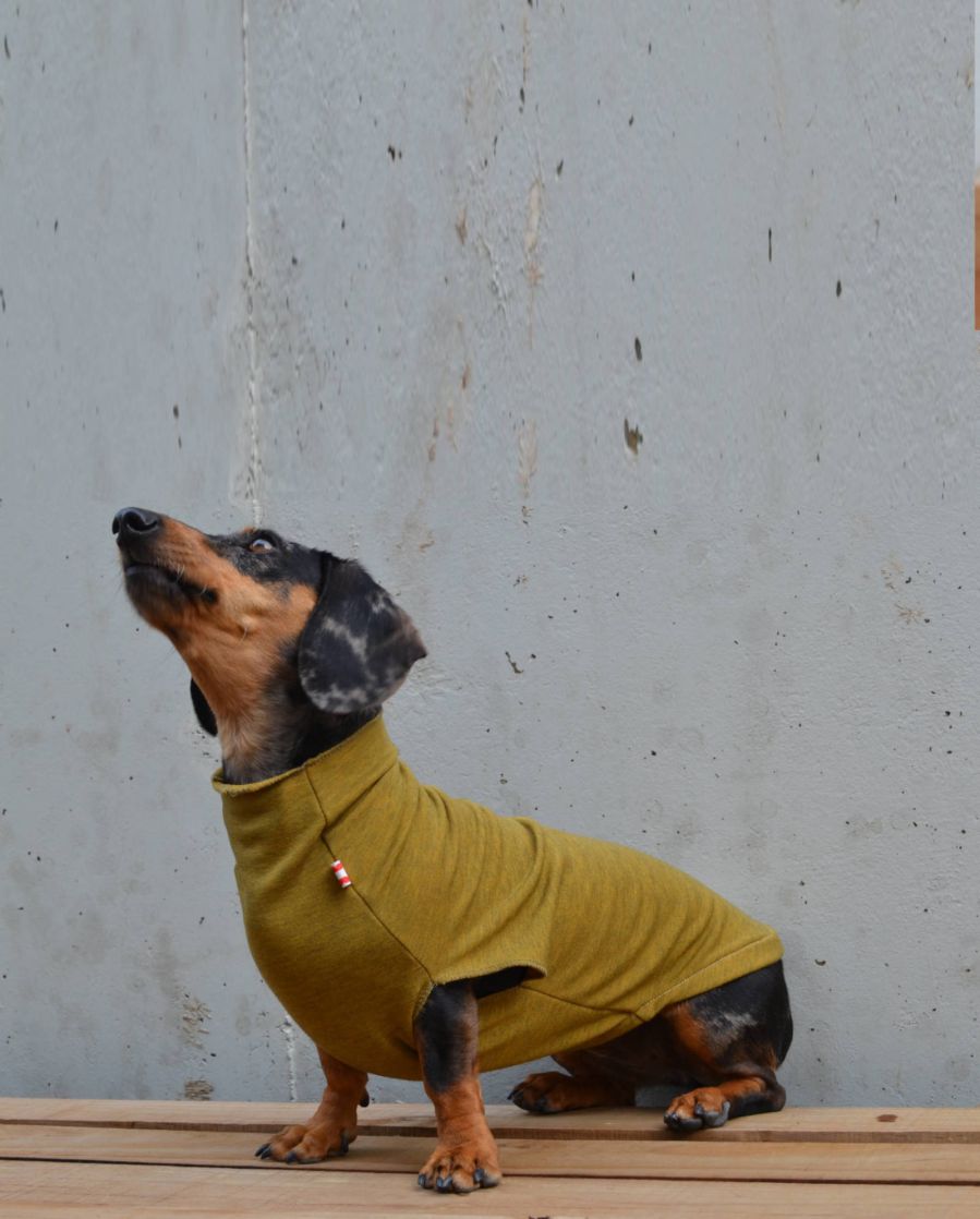 Stretchy dachshund fleece | mustard