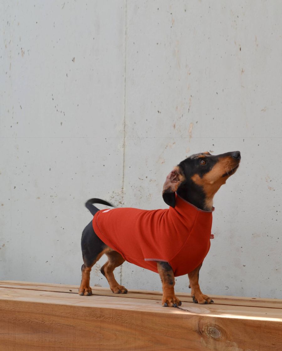 Stretchy dachshund fleece | terraccotta