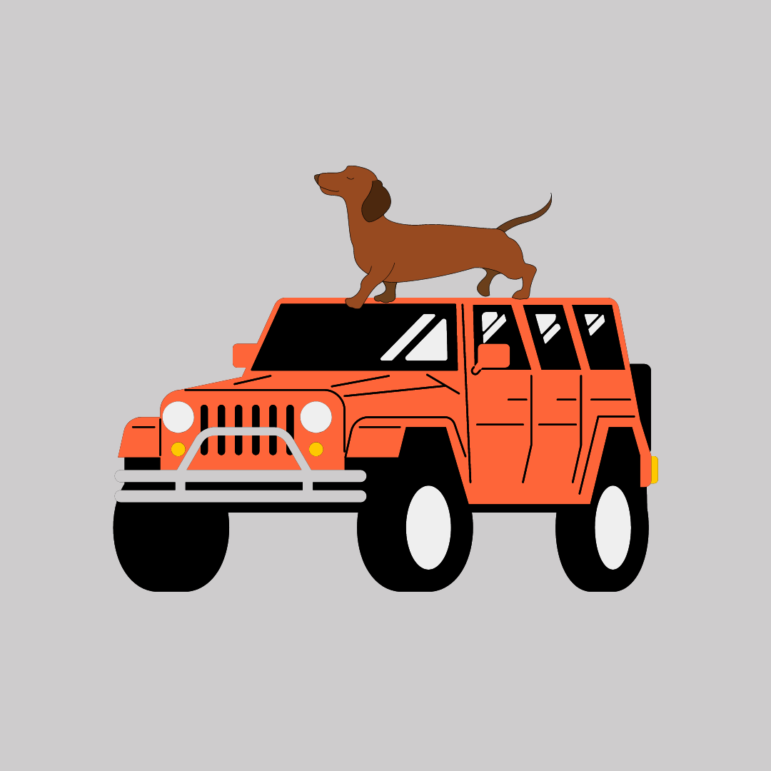 Long dog, long journey: road trips with your dachshund