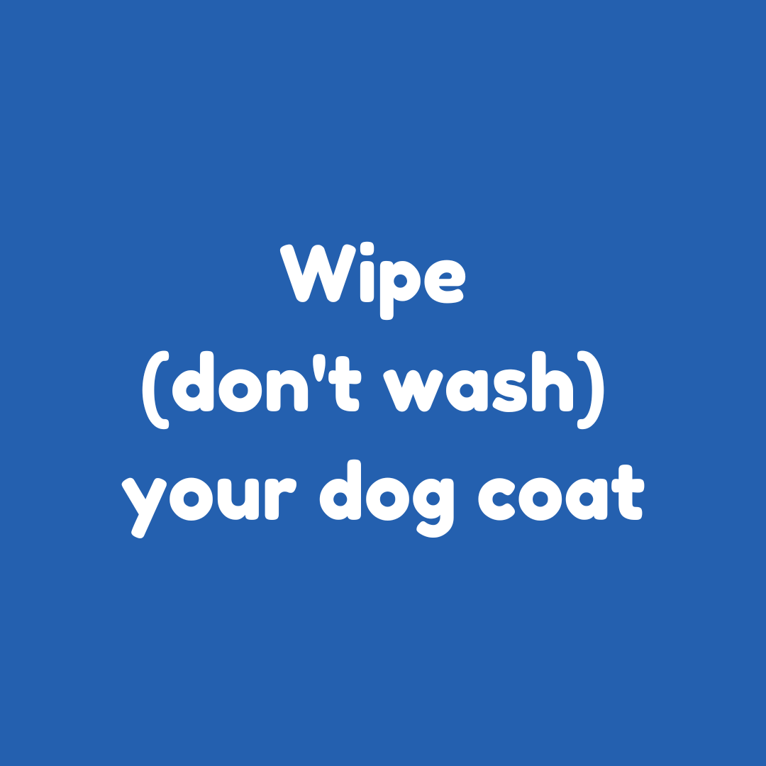 Clean without washing: microplastics and maintaining our dog coats